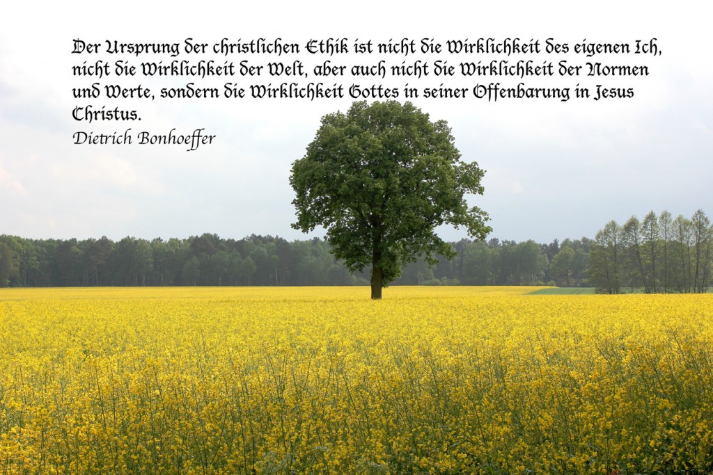 Rapsfeld mit Text: Der Ursprung der christlichen Ethik ist nicht die Wirklichkeit des eigenen Ich, nicht die Wirklichkeit der Welt, aber auch nicht die Wirklichkeit der Normen und Werte, sondern die Wirklichkeit Gottes in seiner Offenbarung in Jesus Christus.